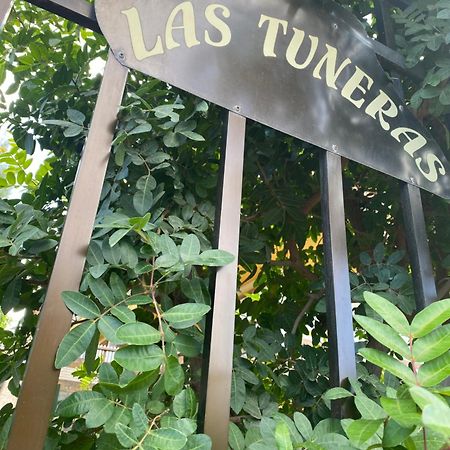 Las Tuneras Apartamento En San Agustin San Bartolomé Zewnętrze zdjęcie